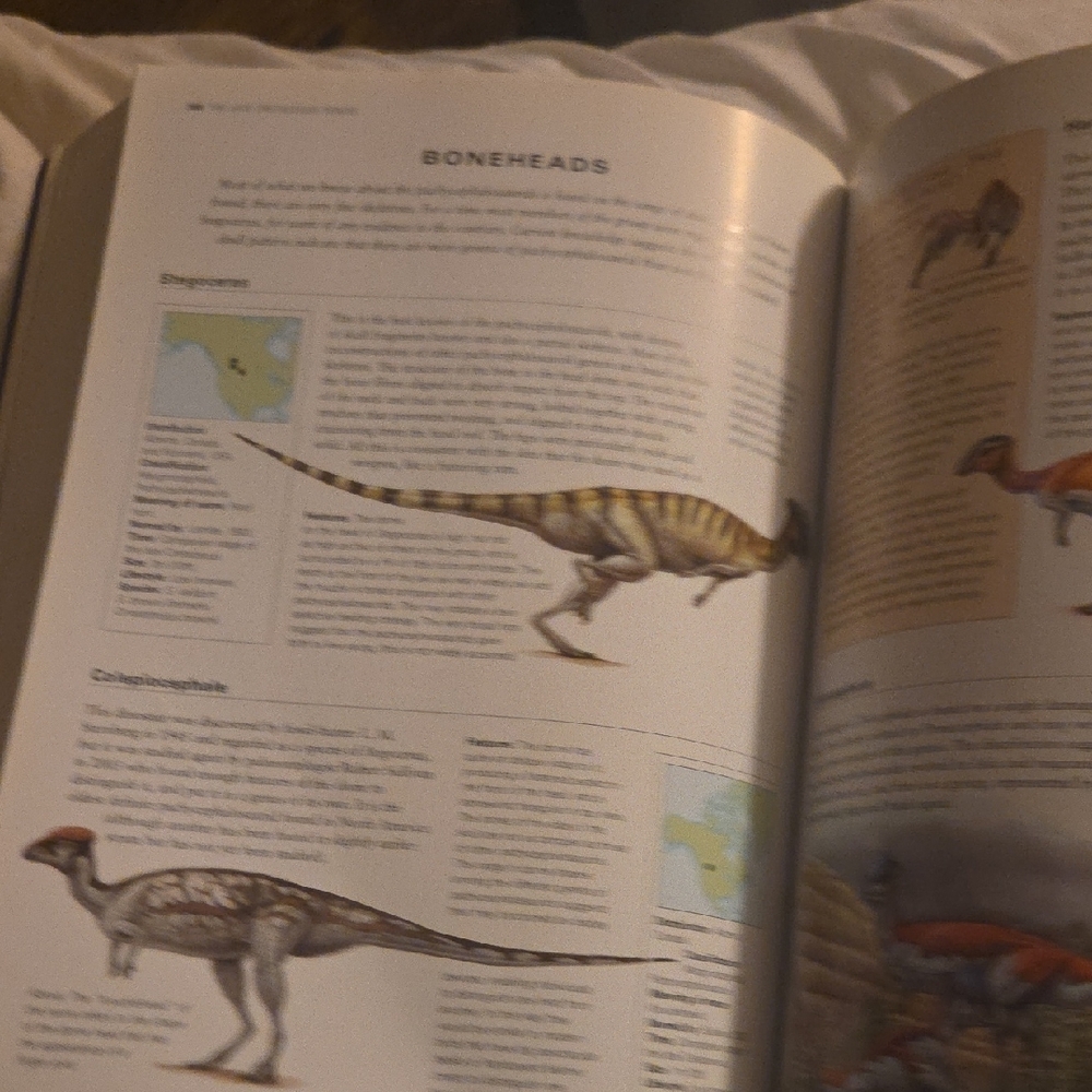 The World Encyclopedia of Dinosaurs & Prehistoric Creatures Book - Picture 11 of 16